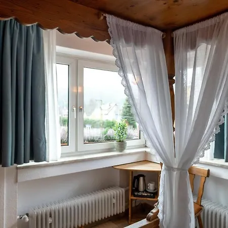 Hotel Zum See, Titisee-Neustadt