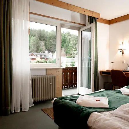 Hotel Zum See, *