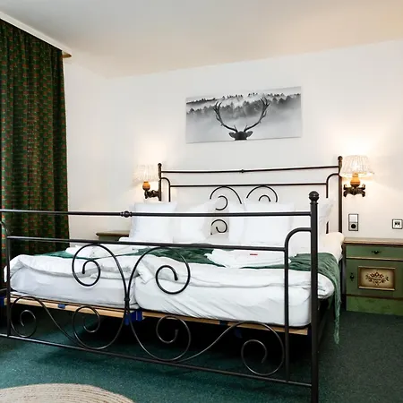 Hotel Zum See, Titisee-Neustadt