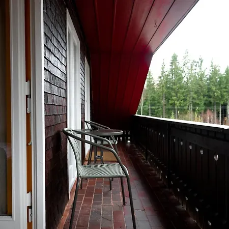 Hotel Zum See, Titisee-Neustadt