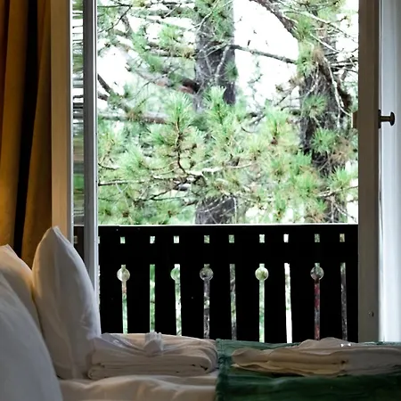 Zum See, Hotel